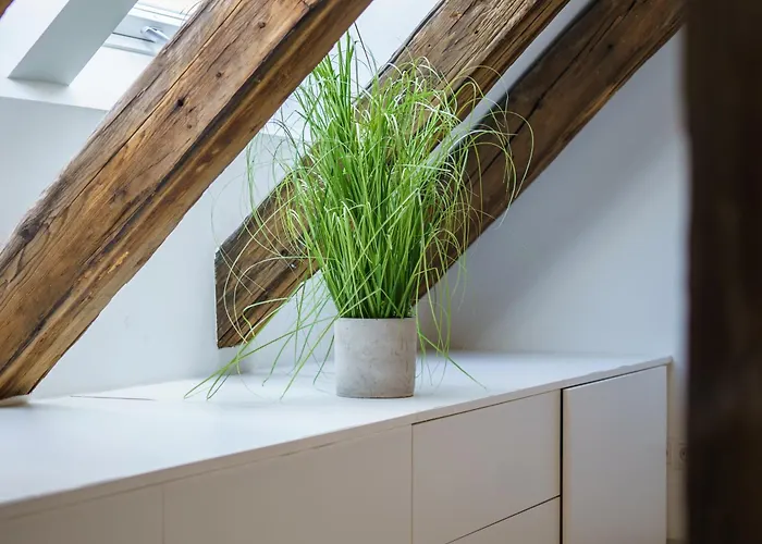 Appartement Living - Berggasse Wenen